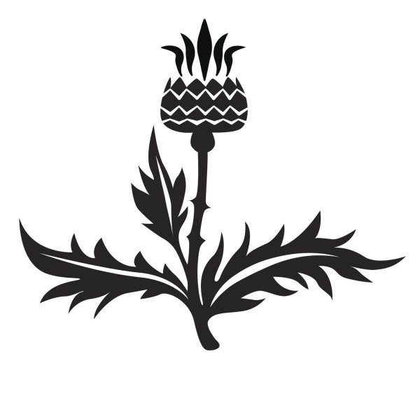 Чертополох Шотландия Татуировка