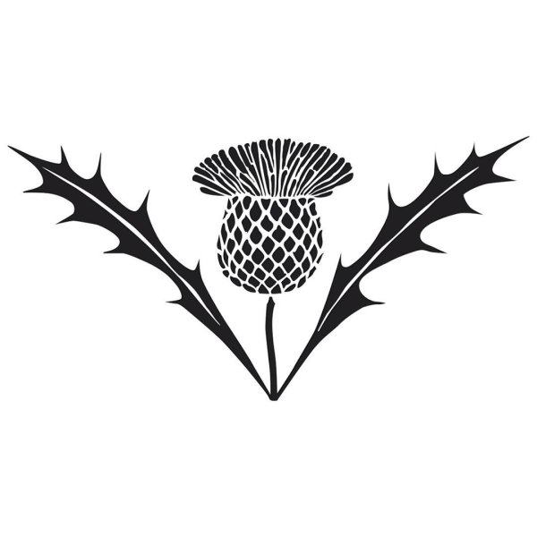 Стилизованный чертополох