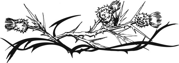Терновая ветвь эскиз