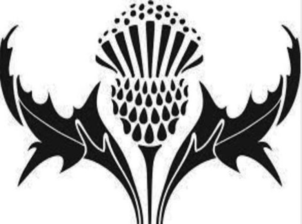 Чертополох трафарет