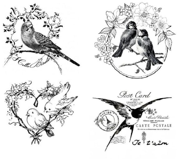 Изображения для вживления