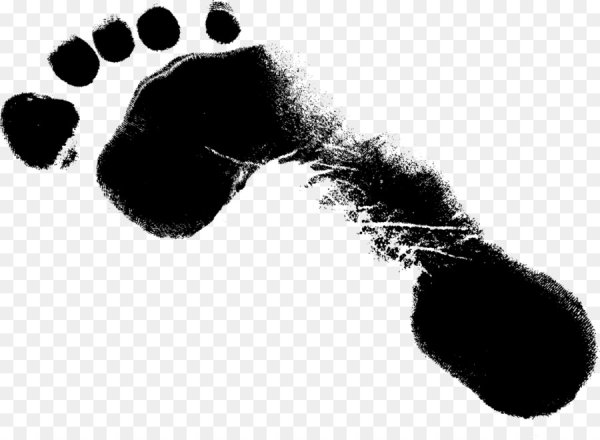 Отпечаток стопы