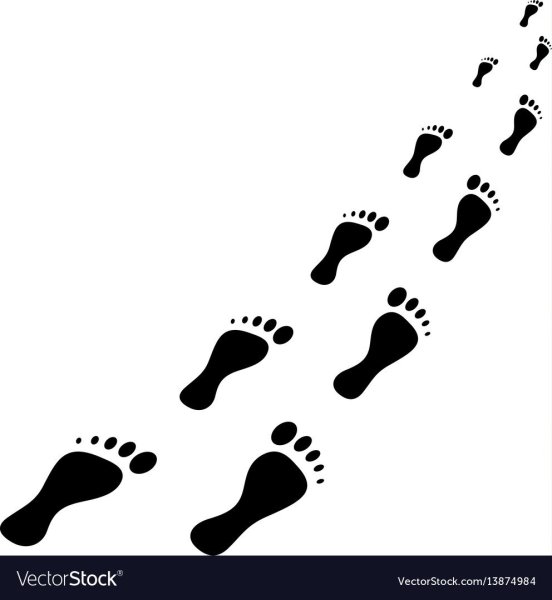 Отпечаток следа