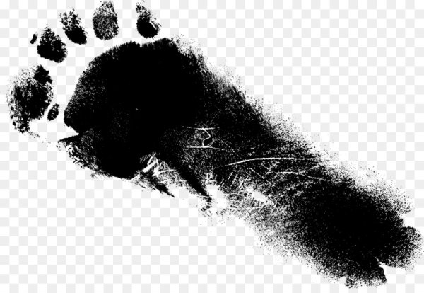 Черные Отпечатки