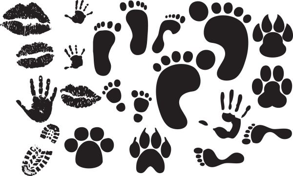 Трафарет "следы"