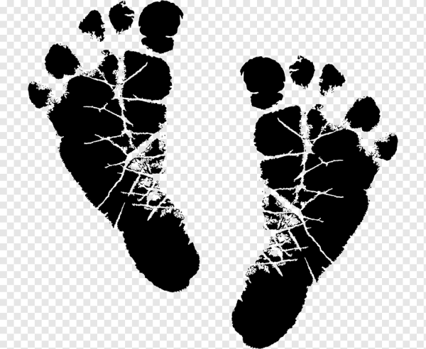 Следы человека