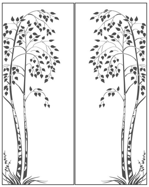Ствол березы черноболый