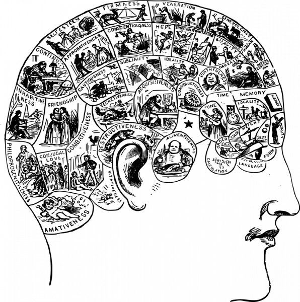 Френология это наука о строении черепа