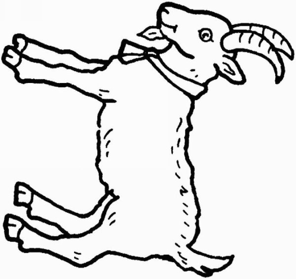 Козлик черно белый рисунок