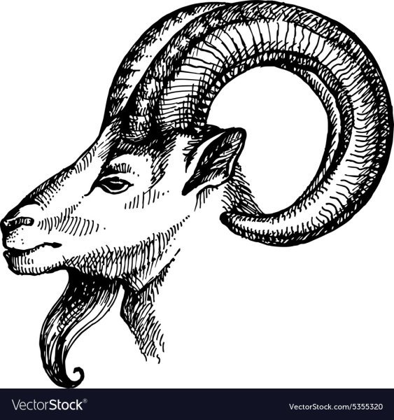 Голова козерога