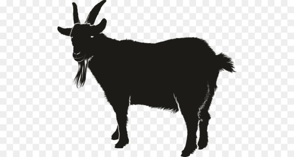 Коза Графика