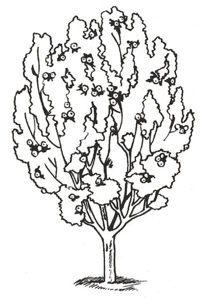 Дерево раскраска