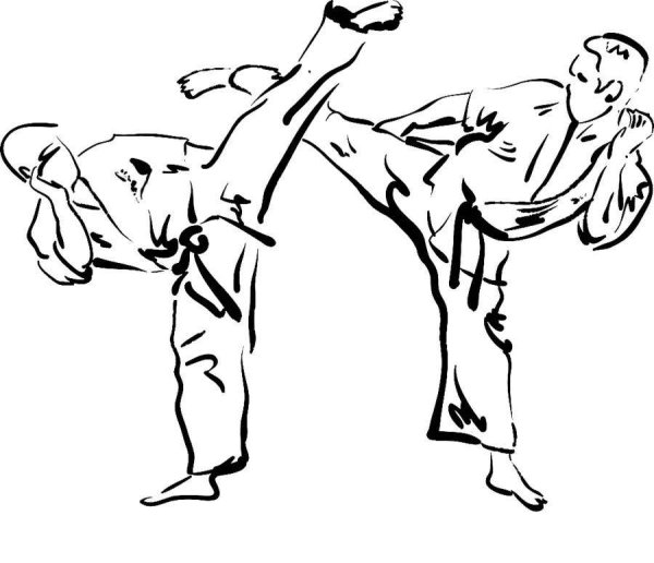 Каратист Графика