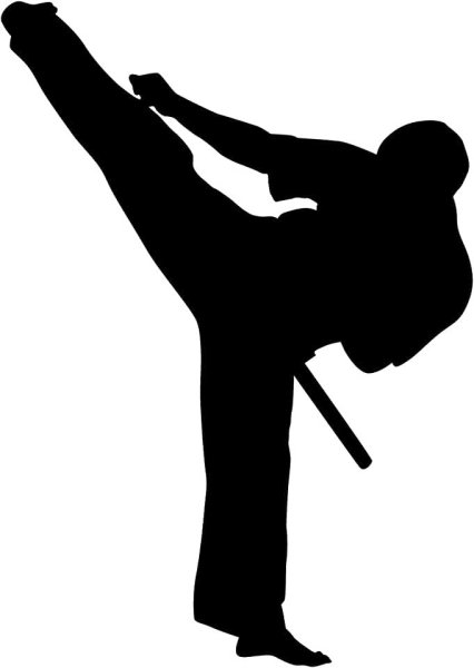 Каратист силуэт