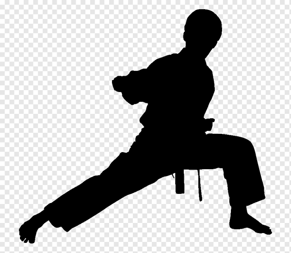 Боевые искусства силуэт