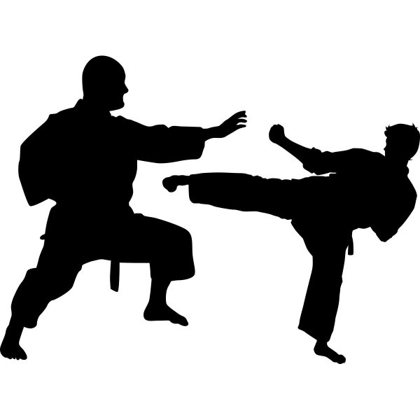 Боевые искусства