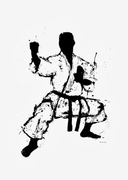 Каратэ киокушинкай силуэт