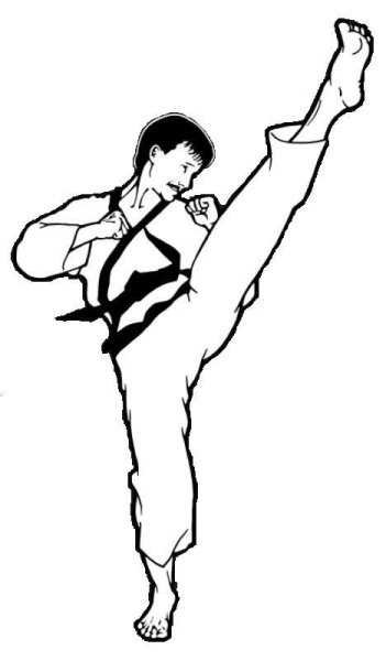 Раскраски единоборства