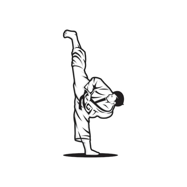 Шпагат вектор карате