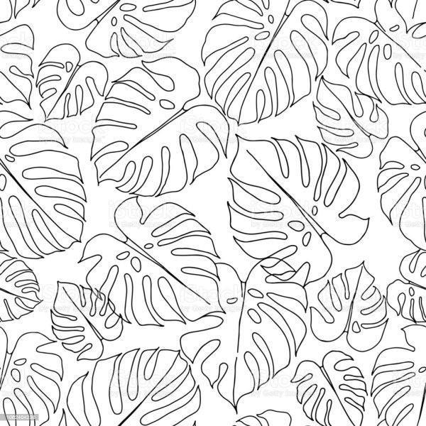 Монстера паттерн