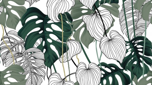 Тропические джунгли Сканди