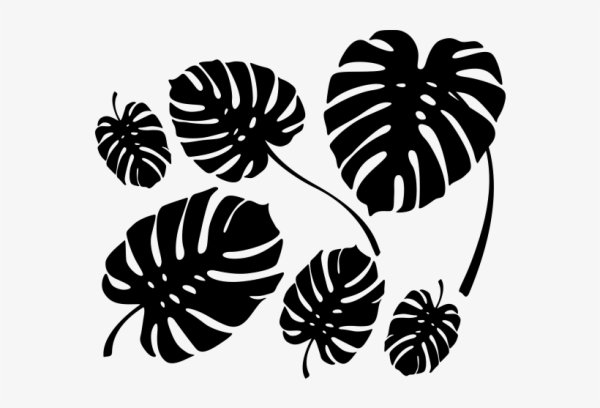 Monstera Leaf контур