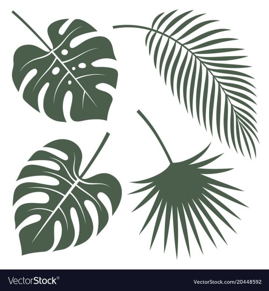 Листья монстеры для плоттера