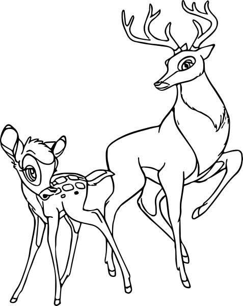 Раскраска Олененок