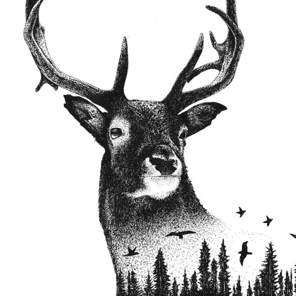 Олень арт