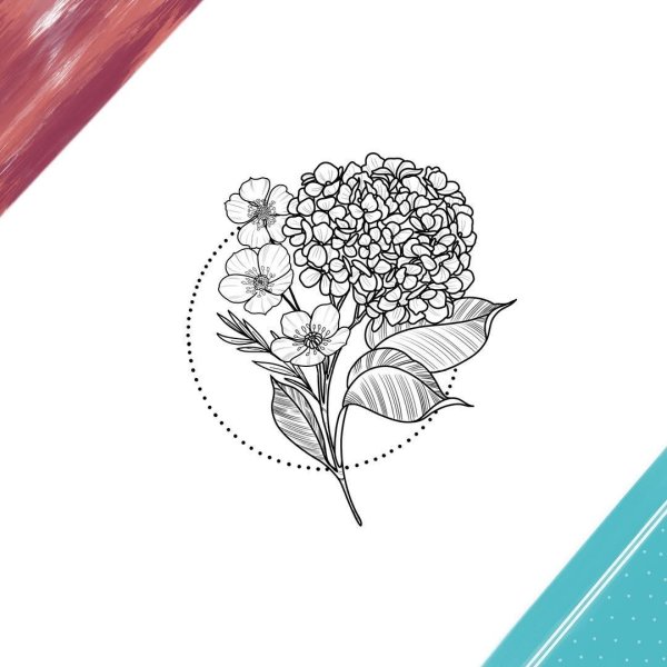 Гортензия эскиз