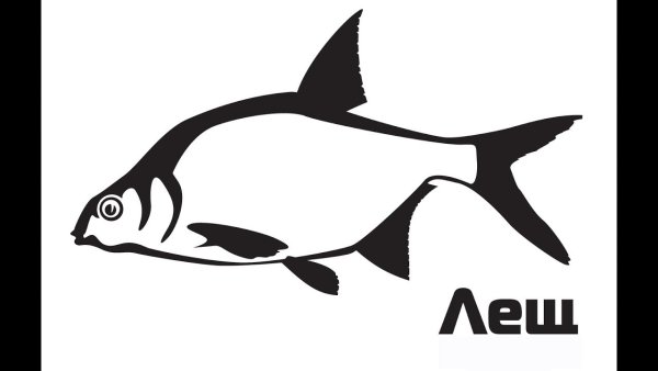 Рыба вектор