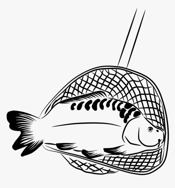 Черно белая Океанская рыба