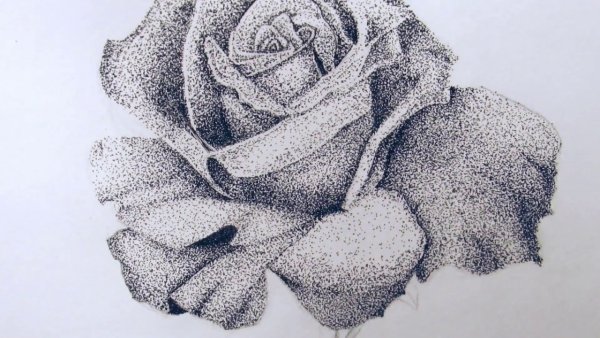 Техники рисования карандашом