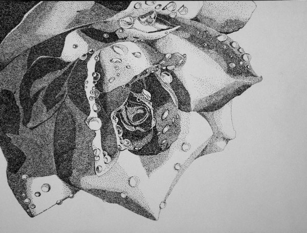 Цветы точками гелевой ручкой