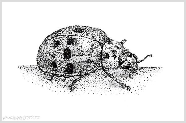 Точечная Графика насекомое