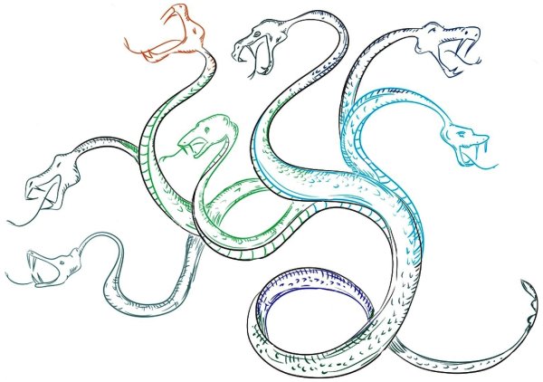 Лернейская гидра в черно белом