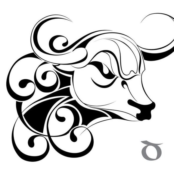 Графическое изображение быка