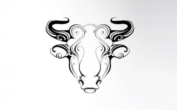 Телец красивый узор