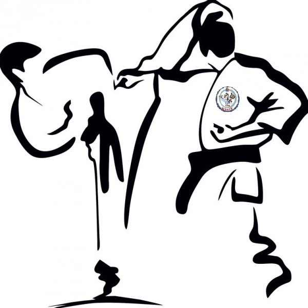 Кекушин каратэ вектор