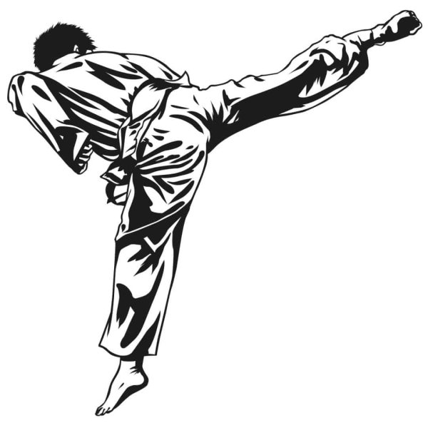 Каратист Графика