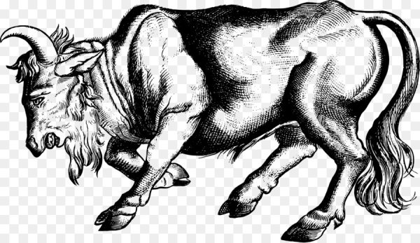 Разъяренный бык