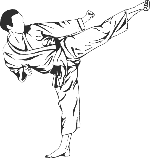 Йоко Гери удар в каратэ арт