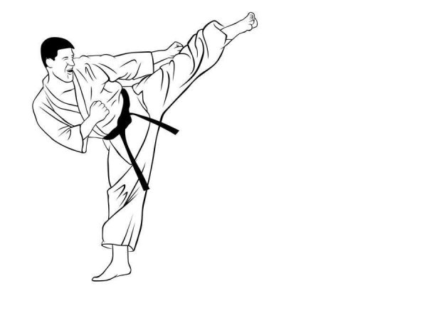 Карате иллюстрация
