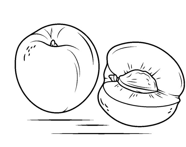 Персик раскраска