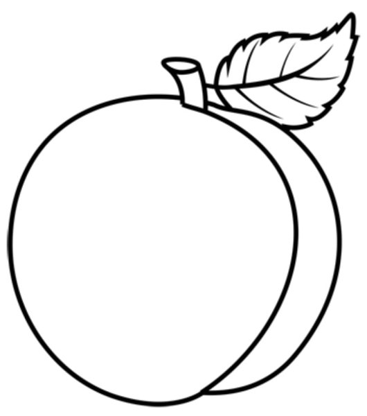 Персик раскраска