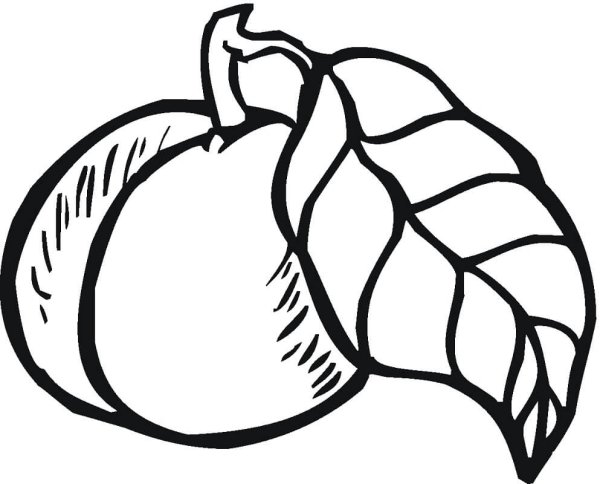 Персик раскраска для малышей