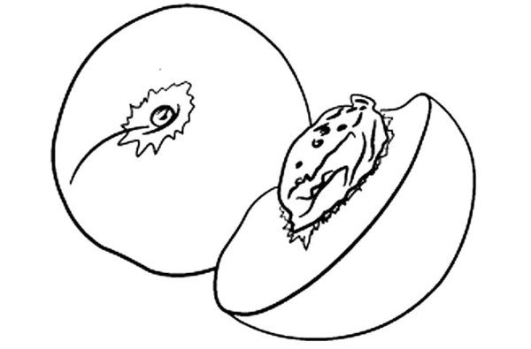 Персик раскраска