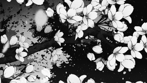 Лепесток Сакуры