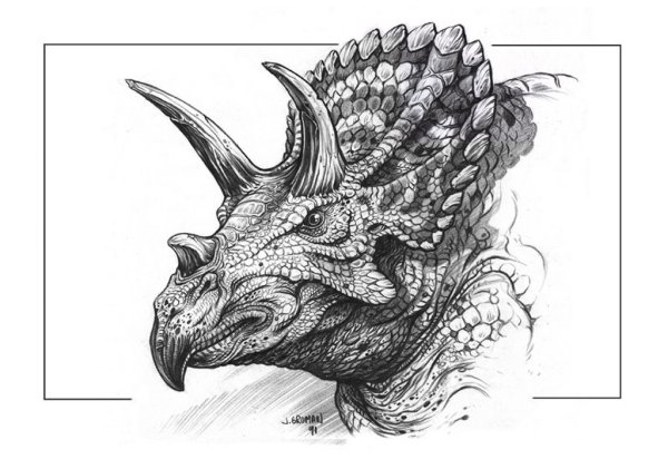 Трицератопс черно белый