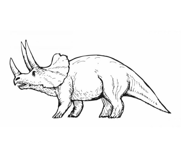 Трицератопс картинки для детей